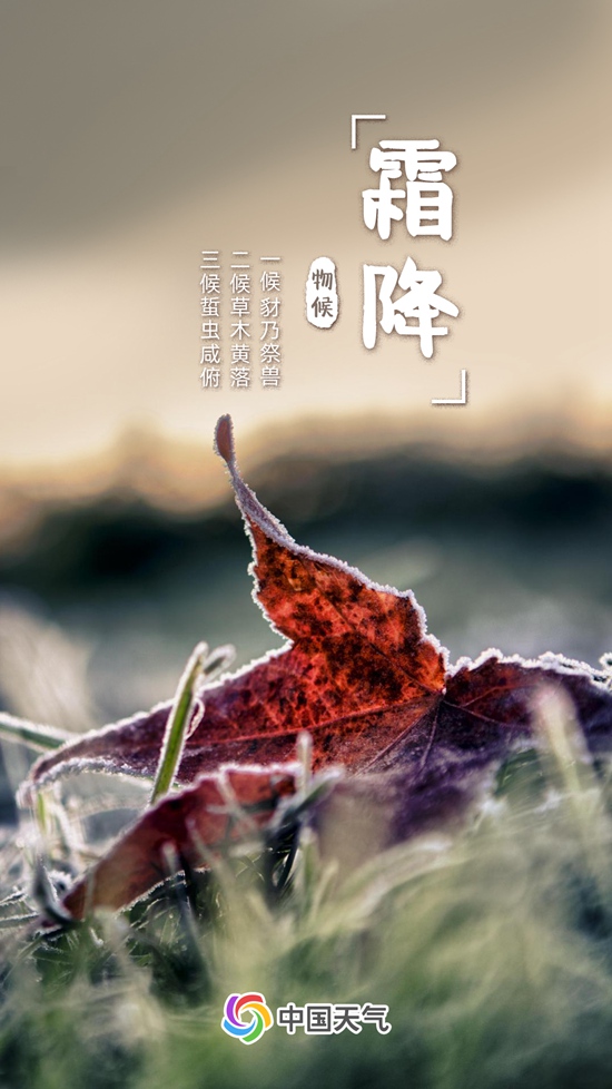 1c2fac7312797779cc457aa84fca96d2.jpeg