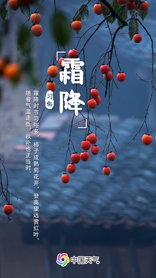d4bc2aeb3899085aee731bac400bcc78.jpeg