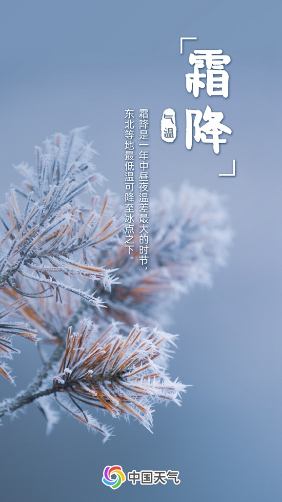 d6cd09e77953d437a9a97fe964b2219a.jpeg