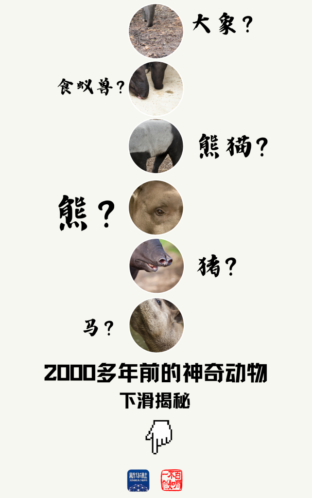 f56f6cb7ca1561420ff9fcd47f2d52e4.png