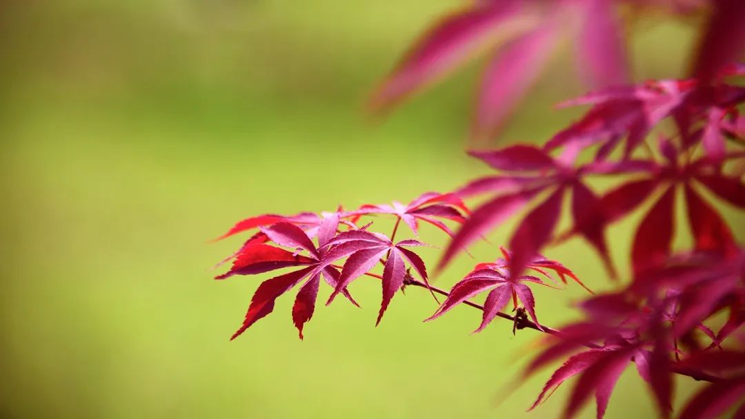 ff807808403b550103bb442b3ab28d40.jpg