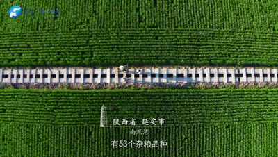 1040c7a52abf3488ab0aadb8e38c35c5.gif