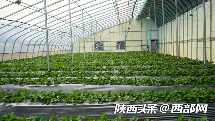 正在上传... af507ca3050335894600a7178aa6a995.png