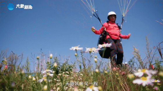 31b9a440337775a267bad5d0de3796c6.gif