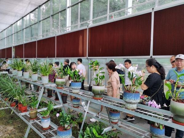 武夷山在园野石斛兰花产业园（赖小金、黄晓婕摄）