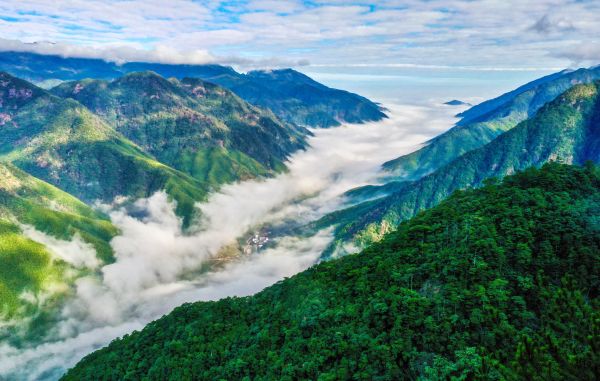 武夷山国家公园-黄海摄