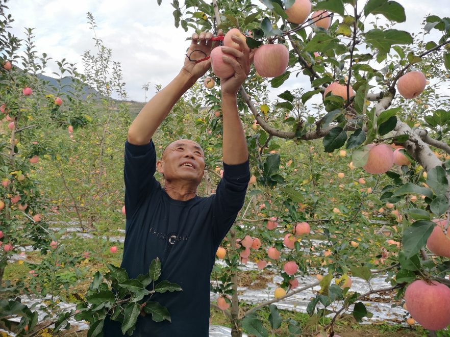 正在上传... 2f189c752bd9ff070378657ddcace8fd.png