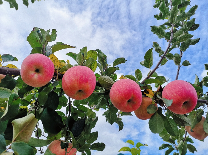 正在上传... 6b605474666c8900fcd6e7120bb4309a.png