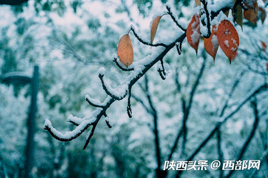 83b90c4bbd37b5905b251fecb679d346.png