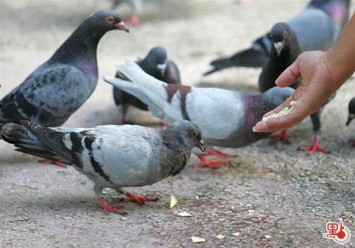 d6d6719bly1hjy4nrkcphj20xc0nbwhk.jpg d6d6719bly1hjy4nrkcphj20xc0nbwhk.jpg