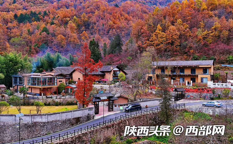 e6d114541cb86db5d12248aa7123b9aa.png