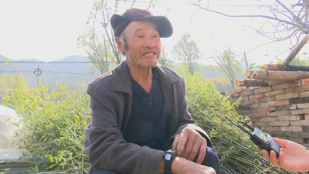 塱踳