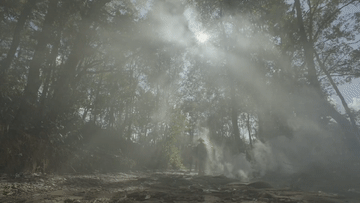 d5e88a5e1e66aadc57501da7f07aa061.gif
