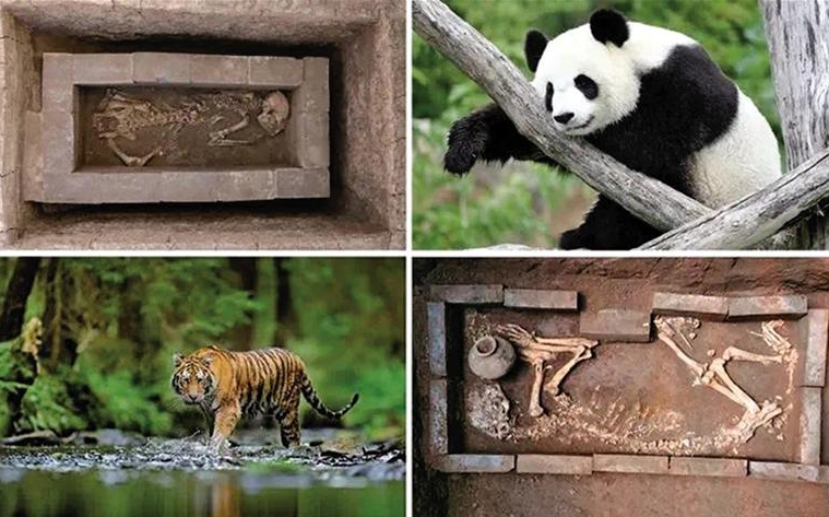 正在上传... b41cd7f17cfcdfc89d7cbb5366dd6c64.png