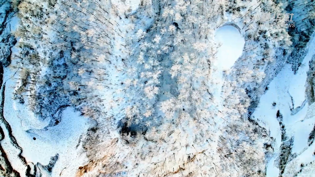 93f8d4be027c19b3880d40c04dc4978c.png