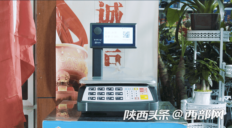 d5a70cc0c575fd842435dc039abba7f6.png