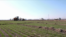 0dfeac9017751ed6c5d57d1a22ab980c.gif