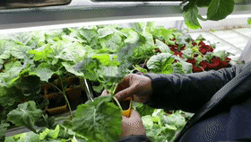 55a06f26c616424ae60ebc0394a1a861.gif