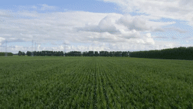 8029b6ac593a991654a61853bbb20b5e.gif