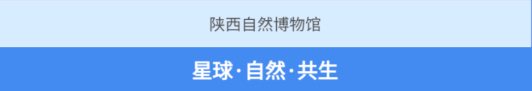 062fa4f64276ab753deed43668757106.png
