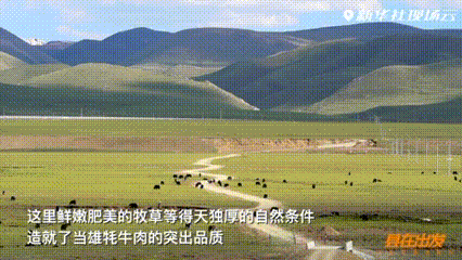 2ef54bb6bcf9d9d6bd8a53f61c4058fa.gif