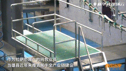 8761b12185f1f94634567a18b7e7953c.gif