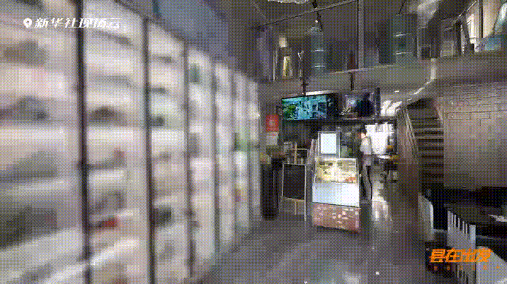 ab863eac2f83dc07fe51e7408baffa0a.gif