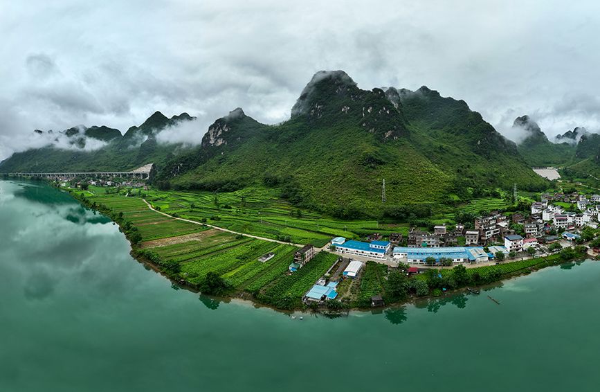 六纳村标准化桑蚕种养示范基地，连片桑园郁郁葱葱。罗仁维摄