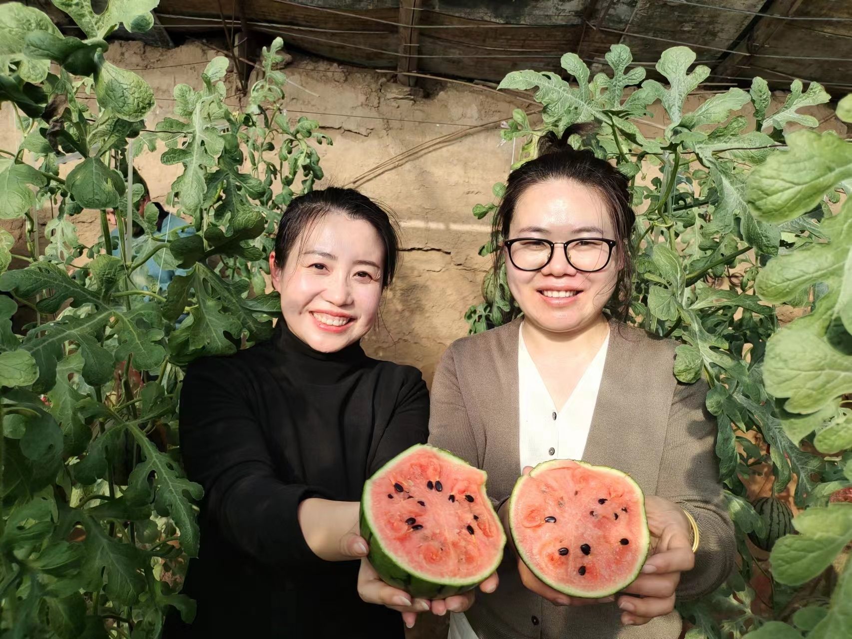 皮薄瓤红的吊瓜。