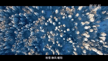 070c8db80d8e1a58efa375c9199f8f97.gif