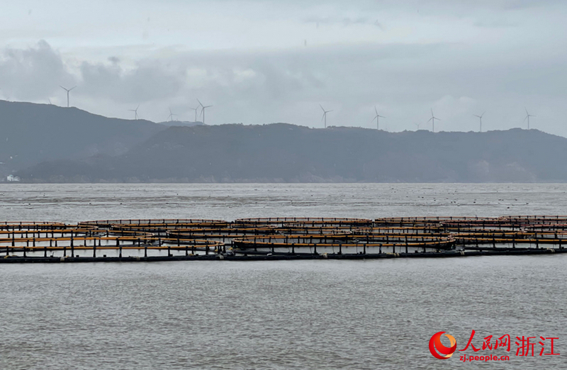 全国最大的深水抗风浪网箱群。人民网记者 王丽玮摄
