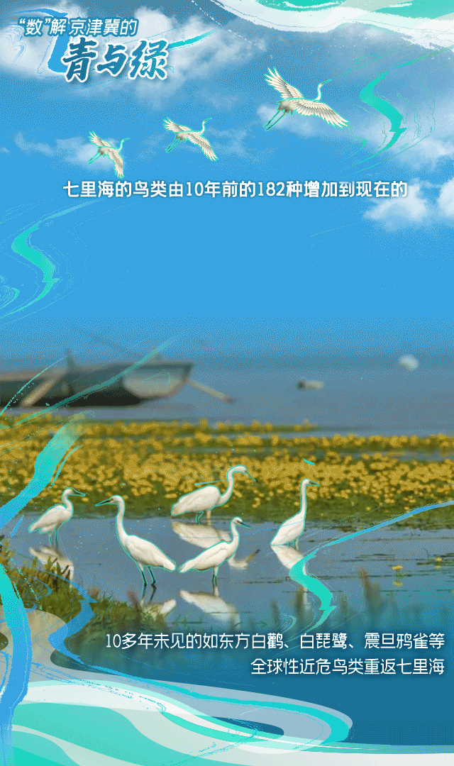 生态美 鸟儿唱 天津为京津冀协同发展奏响“自然乐章”！