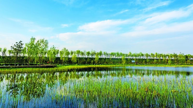 陕西将严格落实渭河等七河一湖岸线保护与利用规划