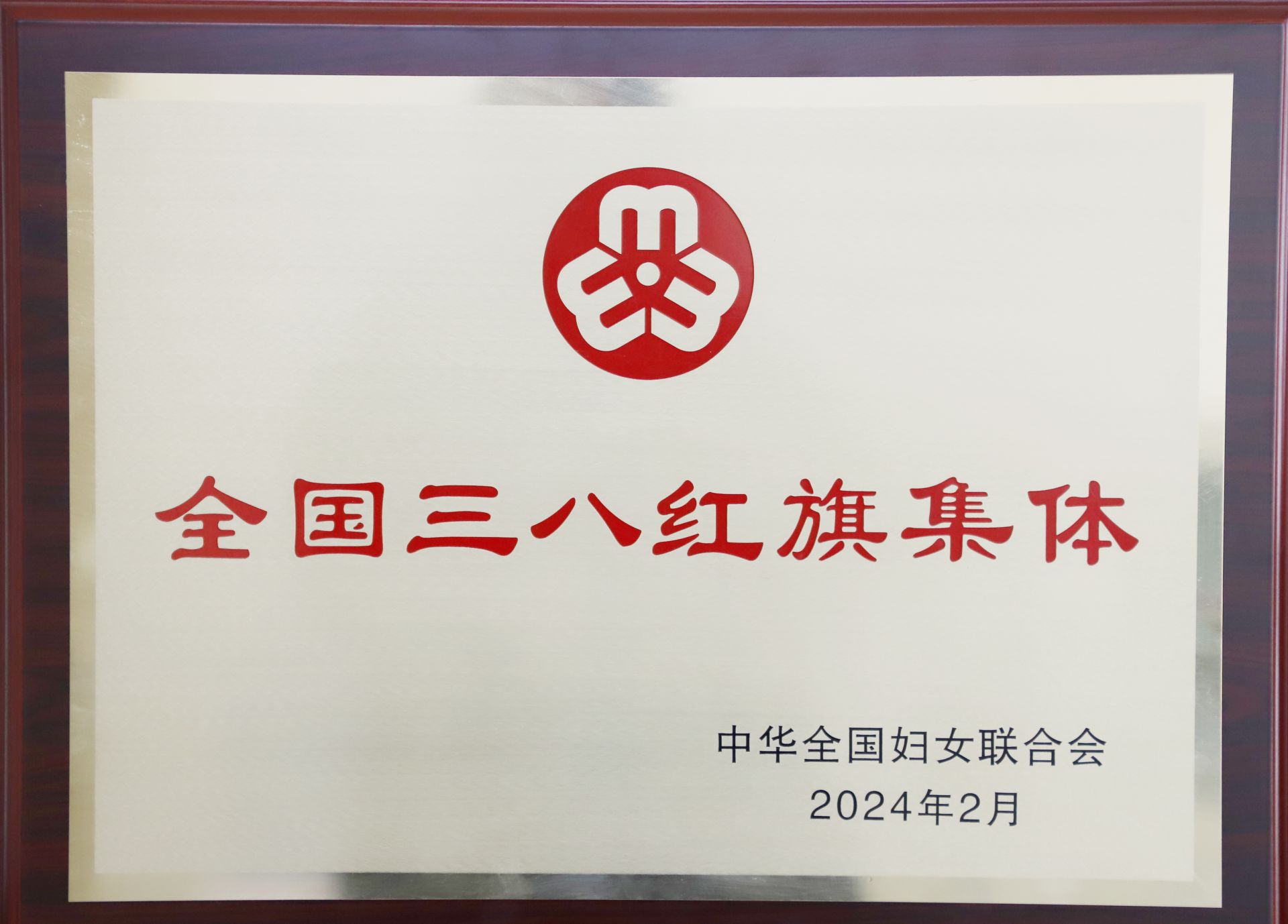 汉中市中心医院荣获“全国三八红旗集体”称号