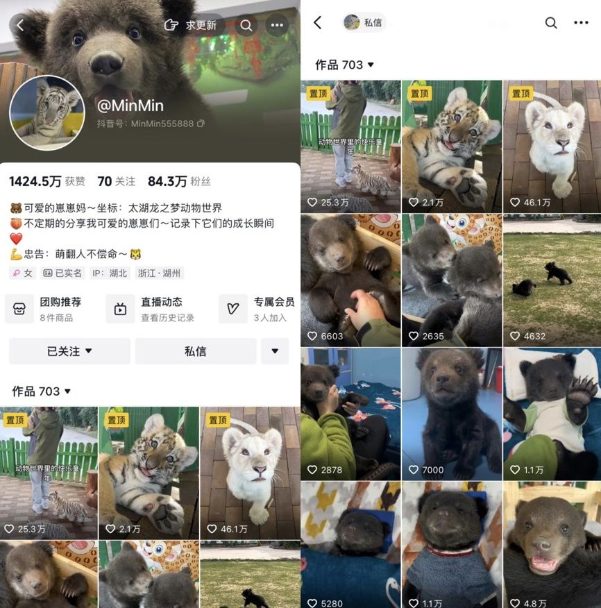 76ba49f1072ce745d6bd47156df7a911.jpeg