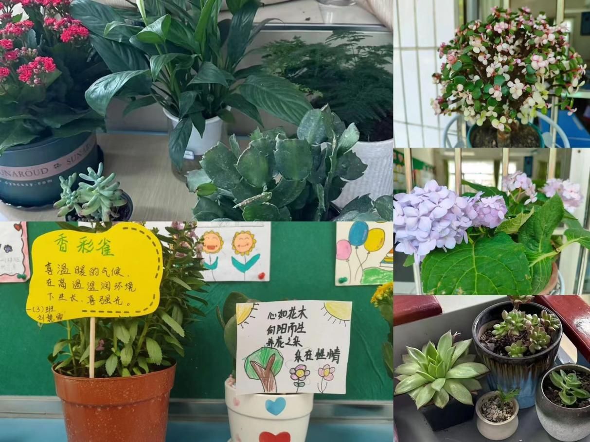 正在上传... 305ae5010908f91bf6421ef1fcff5b22.jpg