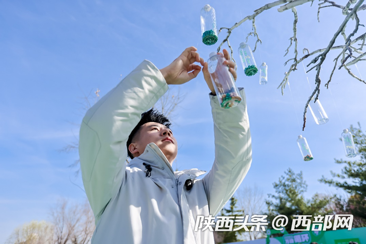e95d50b872f378259c9fbe465ec9a748.png