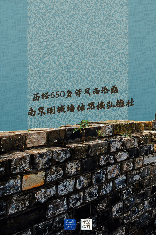 11e926b9db616a2f40989c37c012dea0.gif