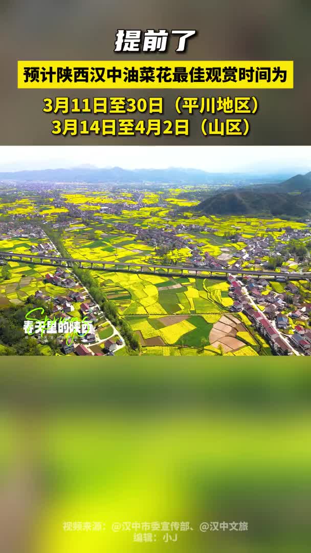 精品观花线路来了！2024最美油菜花海汉中旅游文化节3月15日启幕，等你来踏青~ - 西部网（陕西新闻网）
