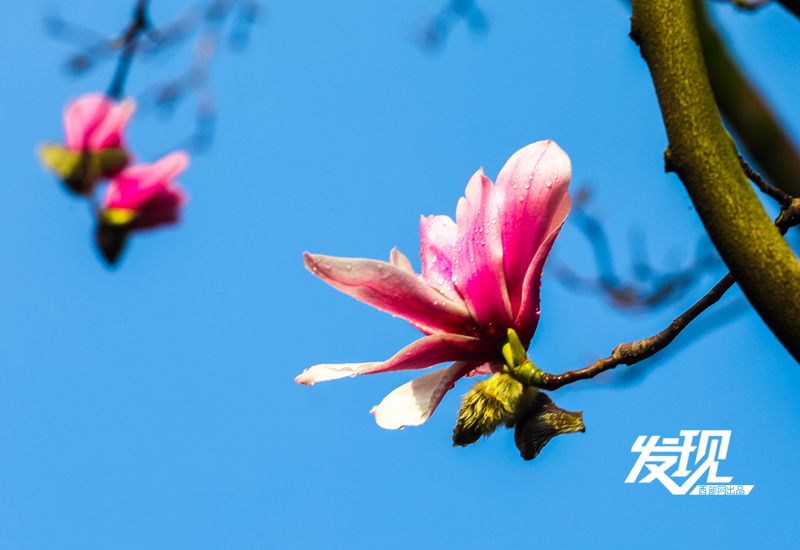 f7031fcc06de0cb7d5eae897d8f360a9.jpeg