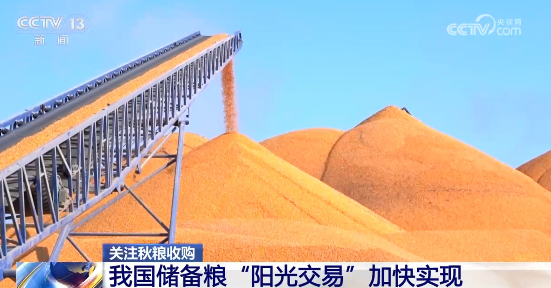 粮食购销