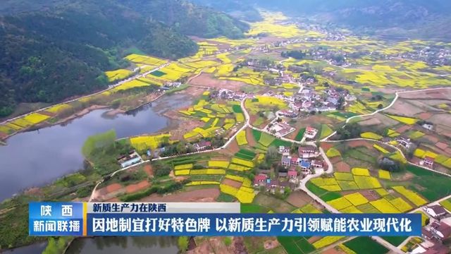 【新质生产力在陕西】因地制宜打好特色牌 以新质生产力引领赋能农业现代化 - 陕西网络广播电视台