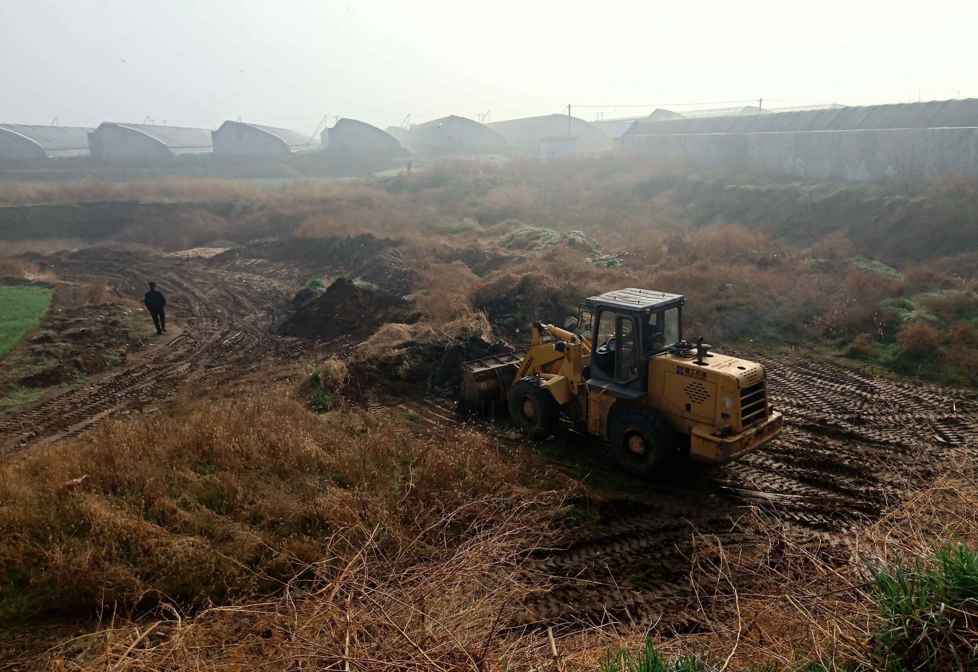 华州街道先农村积极处理撂荒地以备复耕