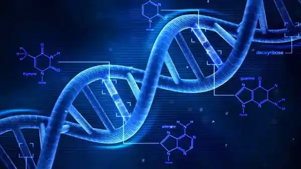 西安交大科研团队在基因组结构变异检测上取得突破