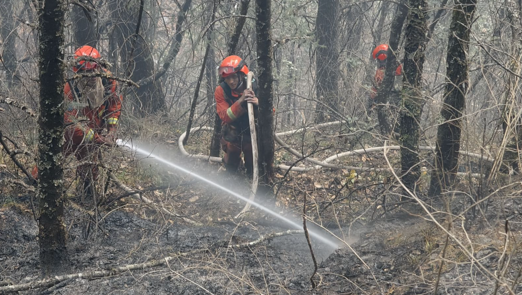 2023年陕西累计巡查林区重点区域5万余处 从源头上消除火灾隐患