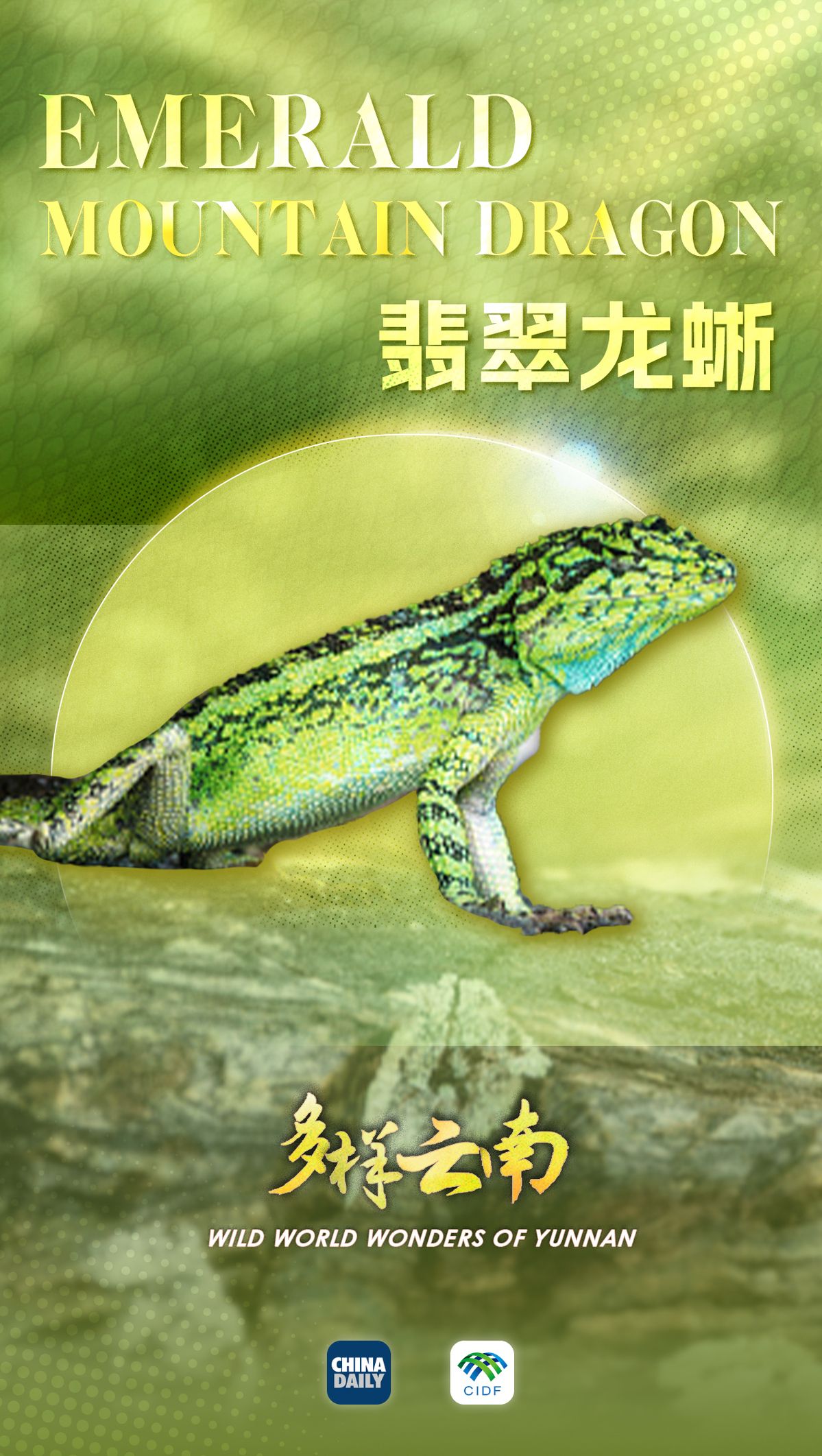 11cdd9c428d6802a20591f0dfc837188.jpeg