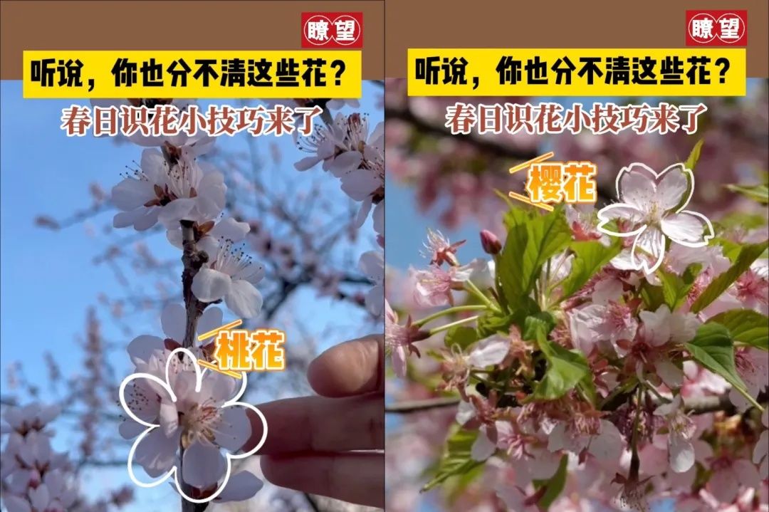 8a6e712360ae9def9770e54d655d0034.jpeg