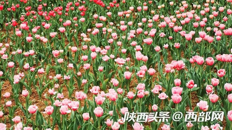 正在上传... 14f32c9fb0b1b8175aac8d05c7b2c561.jpeg