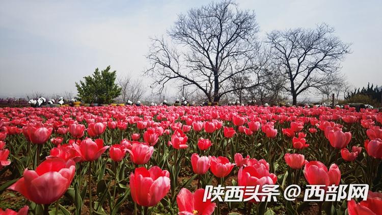 正在上传... 329ccd8f17b0550925b2cb20b965a6b3.jpg