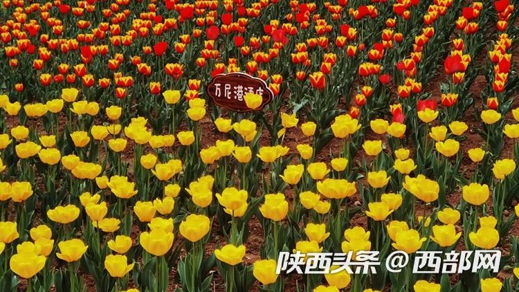 正在上传... 5644b2cd336a2d58f9f57d1f454ed62f.jpeg